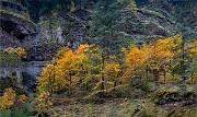 Wahclella Falls Trail 16-5927